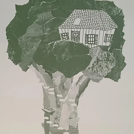 Ecohouse & Bioveg Cafe 3* Roma