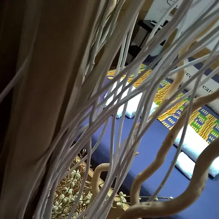 Coppolamyhouse 罗马